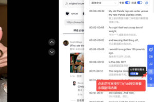 TikTok双语字幕翻译工具