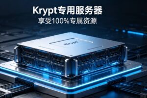 Krypt专用服务器享受100%专属资源