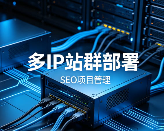 RakSmart站群服务器
