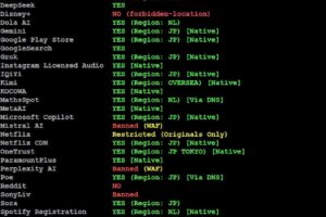 IPv4解锁情况