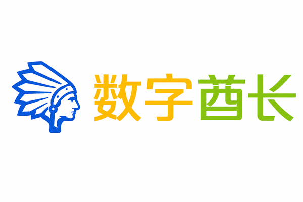 数字酋长：跨境电商ERP与BI数据分析系统