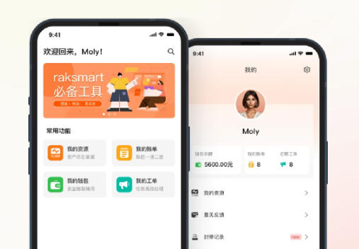 RakSmart APP
