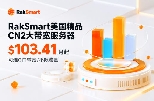 RakSmart美国精品CN2大带宽服务器